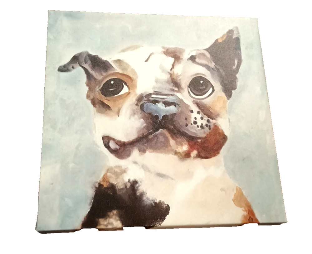 ADORABLE 12x12" wall art stretched canvas tri-colored happy French Bulldog puppy